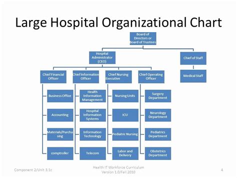 Hospital Organizational Chart Examples Lovely Image Result For