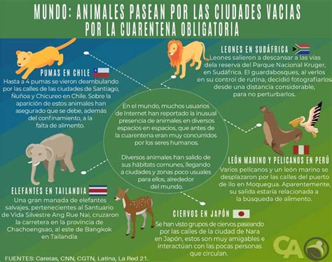 Infografia De Animales