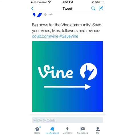 Omg Guys Apparently Coubs Going To Transfer Everyones Vine Accounts