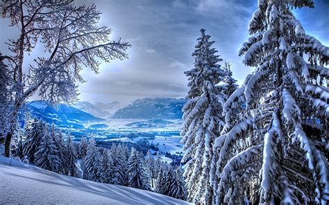 Desktop Hintergrundbilder Natur Winter Wald Schnee Jahreszeiten