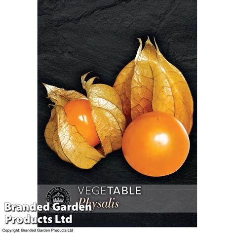 Physalis Peruviana Golden Berry Kew Vegetable Seed Collection