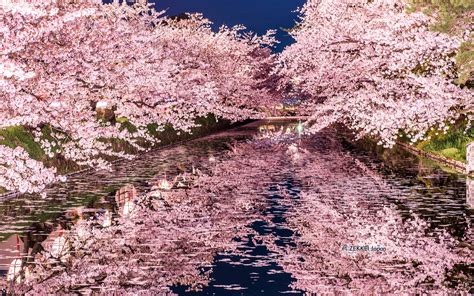 100枚以上のおすすめ画像 デスクトップ 壁紙 桜 最高の写真の壁紙のコレクション 無料の壁紙の何百万人