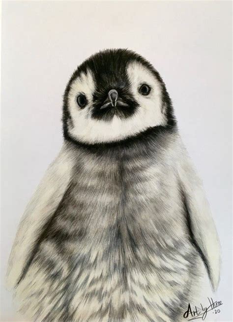 Check spelling or type a new query. Baby Penguin in 2020 | Realistic animal drawings, Animal drawings, Animal art