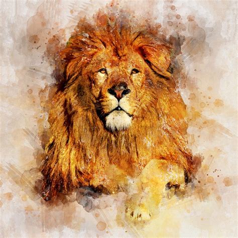 Male Lion With Large Mane Watercolor Portrait Painting By