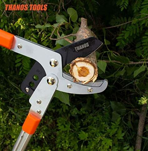 Large Tree Lopper Heavy Duty Extendable 27 In Inch 40 Limb Cutter