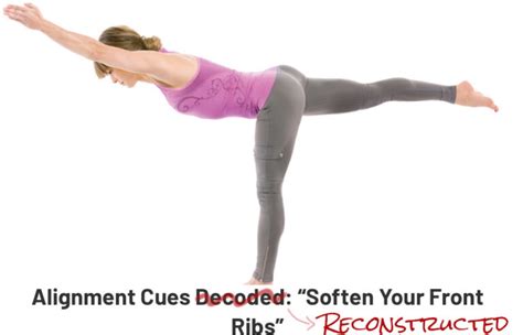 Yoga Pose Alignment Cues Deconstructed Yoga Physics