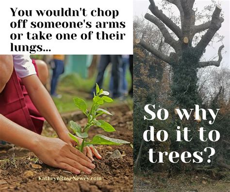 Why Are Trees Important Eco Poster ~ Kathryn Rose Newey