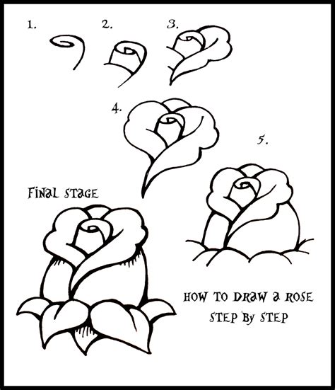 How To Draw A Rose: Step By Step Guide gambar png
