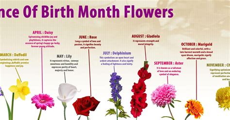 Just as with the zodiac signs, some of the characteristics of our birth month often flow into our personality. birth month flowers meanings - DriverLayer Search Engine