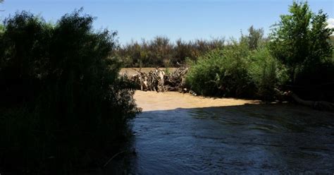 as colorado river basin states confront water shortages it s time to focus on reducing demand