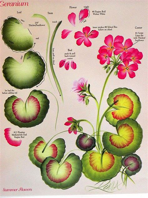 Flowers a to z with donna dewberry. Pin on One-stroke