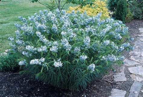 We did not find results for: Beechwood Landscape Architecture and Construction: Blue ...