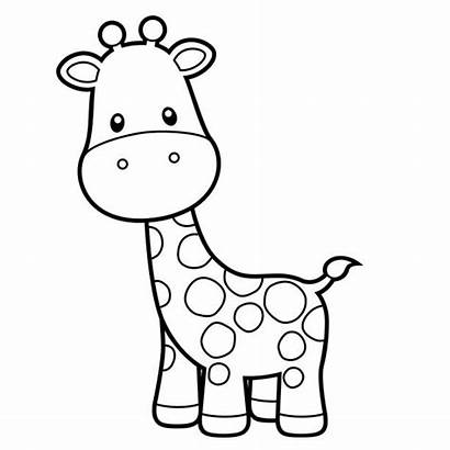 Giraffe Coloring Vector Illustration Drawing Clip Illustrations