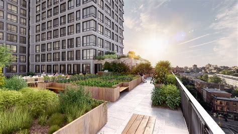 Brooklyns Newest Condo Amenity Rooftop Agricultural