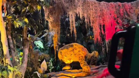 Rainforest Cafe Jaguar Youtube