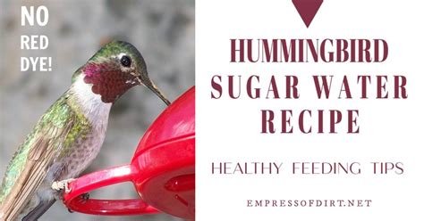 This concentration is the closest to the sucrose content of most natural flower nectar. How to Make Sugar Water for Hummingbirds | Empress of Dirt