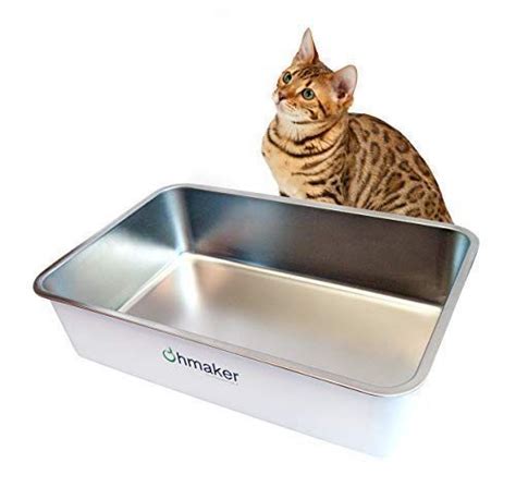 What Is The Best Cat Litter Box On The Market Tcatcut