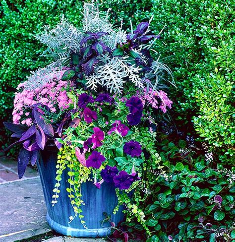 How To Create Beautiful Annual Containers Salmon Falls