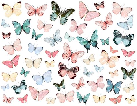 Butterflies Digital Collage Sheet Pink Light Blue Butterflies