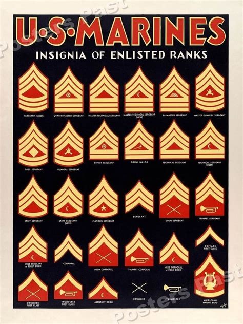 The army's enlisted ranks are broken down into the remaining soldier ranks are as listed: US Marines insignia | Marine corps ranks, Marine corps ...