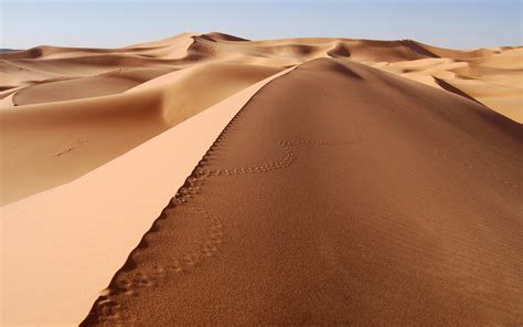 壁纸 景观 砂 天空 脚印 沙丘 撒哈拉沙漠 形成 1280x800像素 地质学 风土地貌 尔格 生态区 唱沙