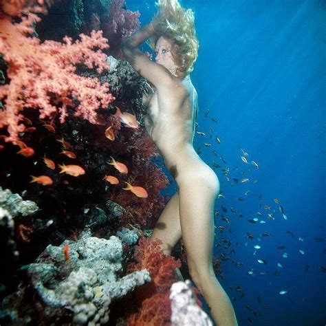 Nude Girls Diving Telegraph