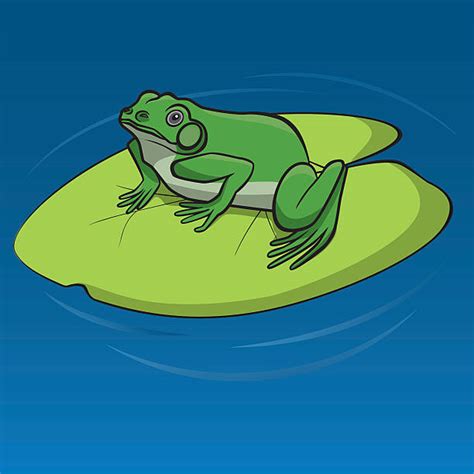 Drawing Of The Frogs On A Lily Pad Illustrations Royalty Free Vector