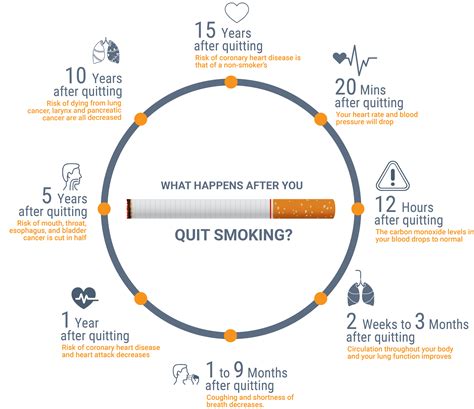 benefits of quitting smoking diagram