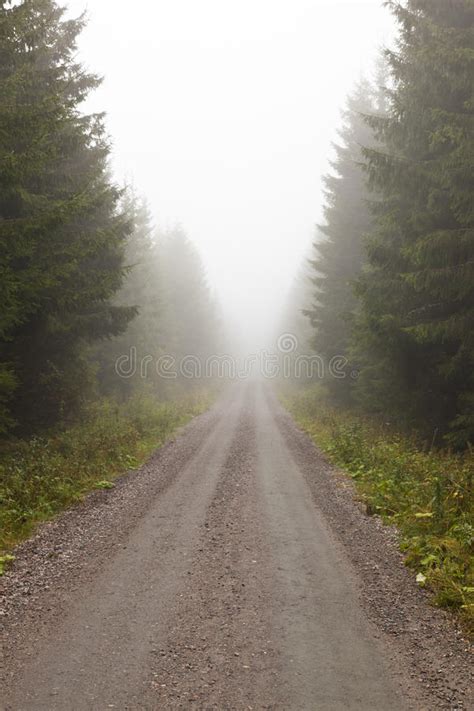 Gravel Road Stock Image Image Of Road Nature Country 25776041