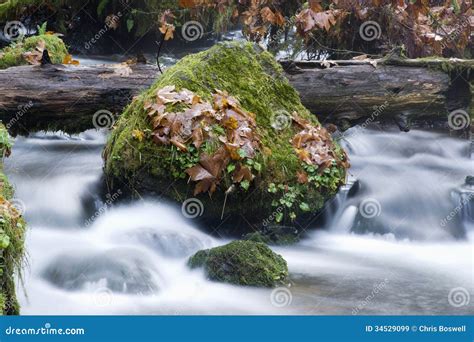 Long Exposure Water Flowing Down Stream Moss Covered Rocks Stock Image