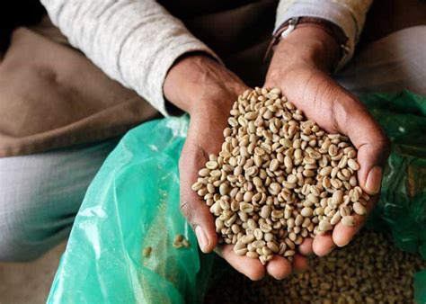 The List Of 10 Ethiopian Coffee Beans
