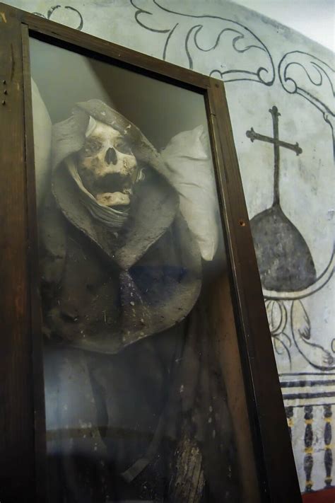 the mummies of mexico city atlas obscura
