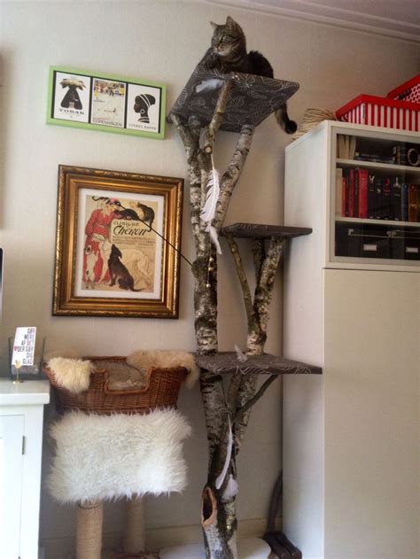 Then present what we feel are the best cat tree plans and ideas here for your consideration. Free Cat Tree Plans | Cat tree plans, Diy cat tree, Cat tree