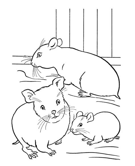 Download hamster coloring page pdf. Hamster coloring pages to download and print for free