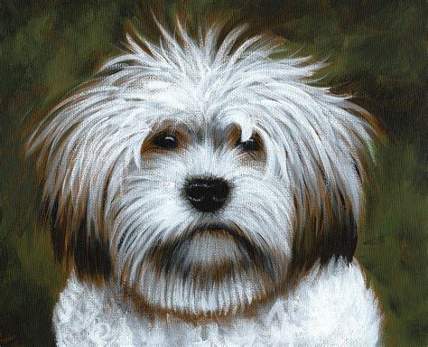 Shaggy Dog Art Painting Painting By Amy Giacomelli Fine Art America