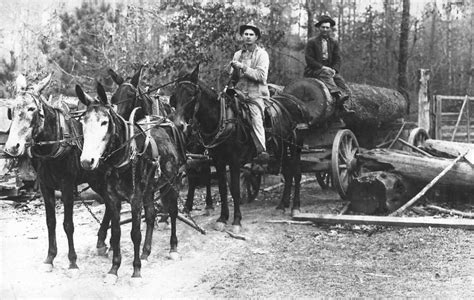 Early Logging In Warren Arkansas