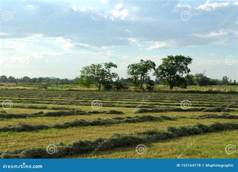 Farm Fields In Southern Utah Stock Photo Image Of Growing Nature