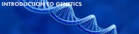Introduction To Genetics Basic Biology