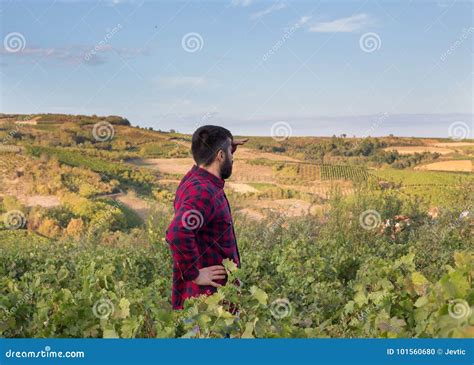 Farmer In Vineyard Stock Photo Image Of Outdoor Field 101560680