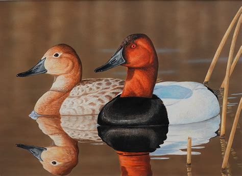 When should you update your application and report changes? Indiana Artist Jeffrey Klinefelter Wins State Duck Stamp ...