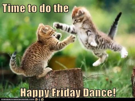 Time To Do The Happy Friday Dance Lolcats Lol Cat Memes Funny