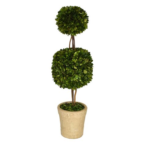 Preserved Boxwood Double Ball Topiary 30 Inch Bella Marie