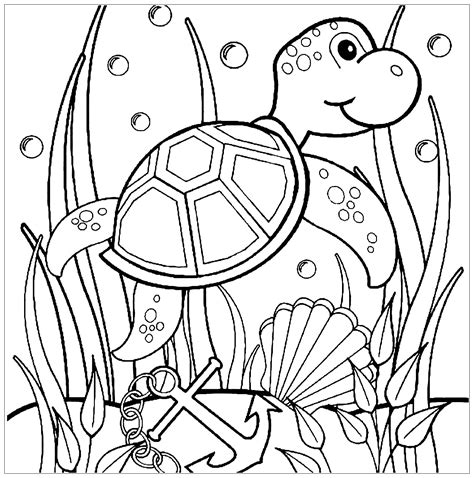 Turtles coloring pages animal coloring pages simple turtle color page. Turtles to print - Turtles Kids Coloring Pages