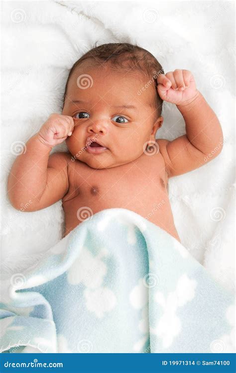 Cute African American Baby Stock Photo Image Of Innocence 19971314