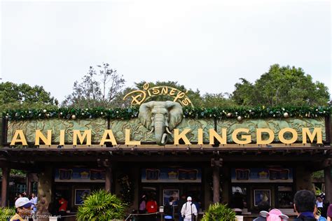 Wdw Dec 2009 Animal Kingdom All Decked Out For Christmas Flickr