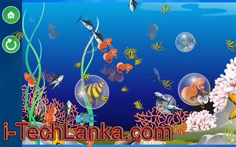 3d Fish Living Marine Aquarium Screensaver ~ I Techlanka
