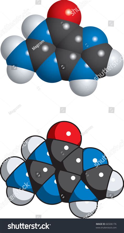 Guanine Molecule Stock Vector Royalty Free 66506176 Shutterstock