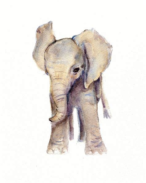 Baby Elephant Print From Original Watercolor Etsy Watercolor