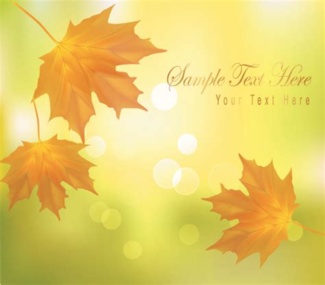 Yellow Autumn Leaves Vector Backgrounds Set Vectors Graphic Art Designs