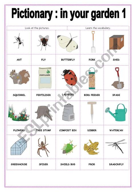 Pictionary In Your Garden 1 Esl Worksheet By Storyteller